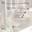 画像2: ドリップカフェ ギフトBOX 10P入#1 (2)