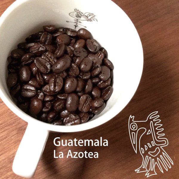 画像1: グァテマラ ラ・アゾテア農園　 200g (1)